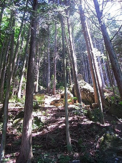 08.この杜から出るお水