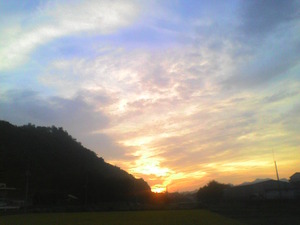 ���������νУ�