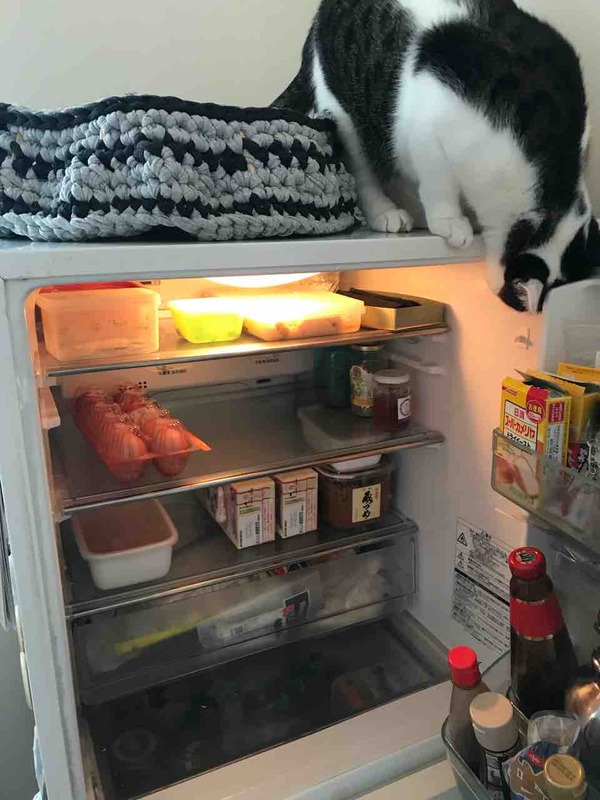 ��¢��