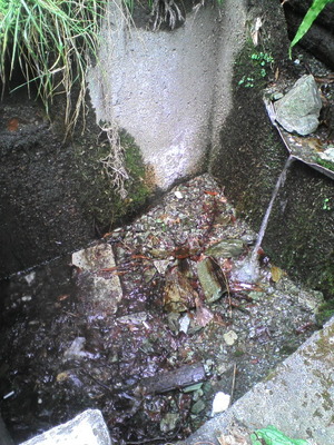 02.水場の吸殻
