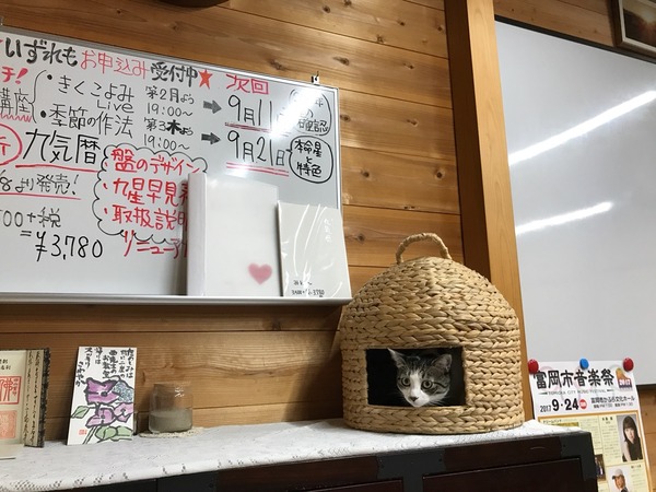 猫ちぐら