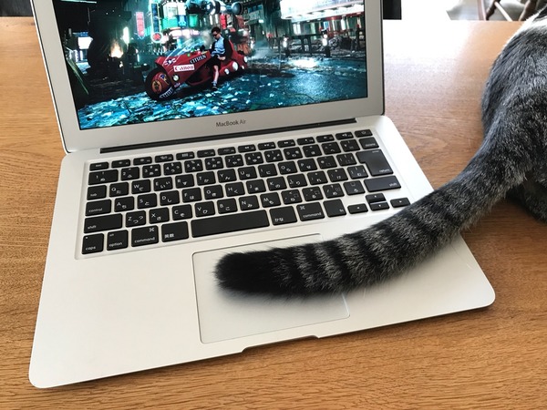 �뤤������