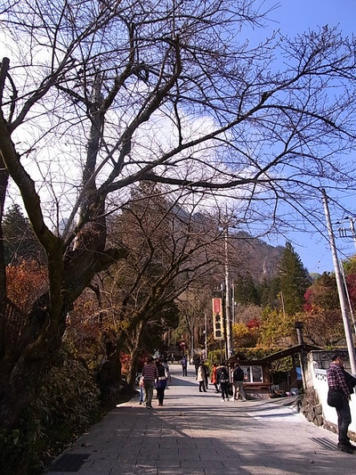 05.ずっと登りの参道