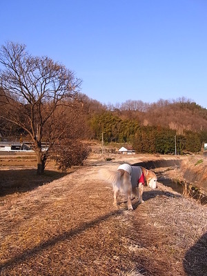 02.ちょっとそこまで