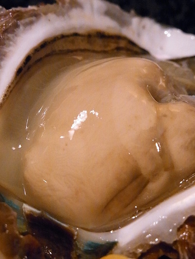 £±£´¡¥½éÂ賤ÎÌ£¤ï¤¤