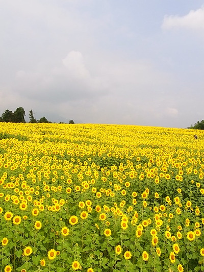 05.丘の向こうまで