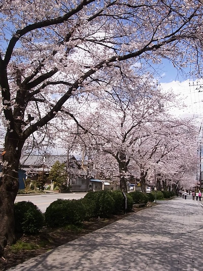 04.それでも綺麗