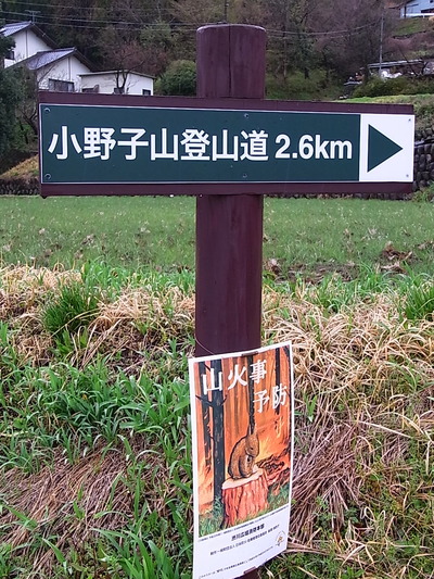 06.猫の方へ