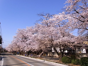 ��������Ȩ��