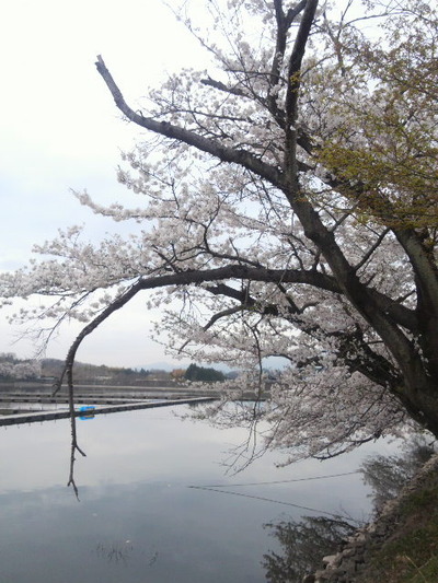 10.丹生湖20150405