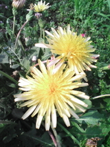 9a822683.jpg