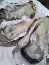 お土産には牡蠣