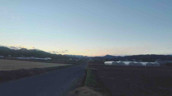 夕焼け横