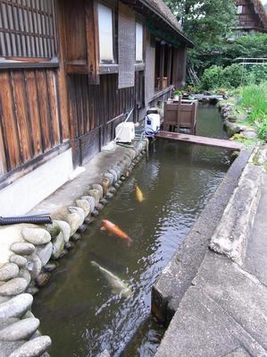 清水