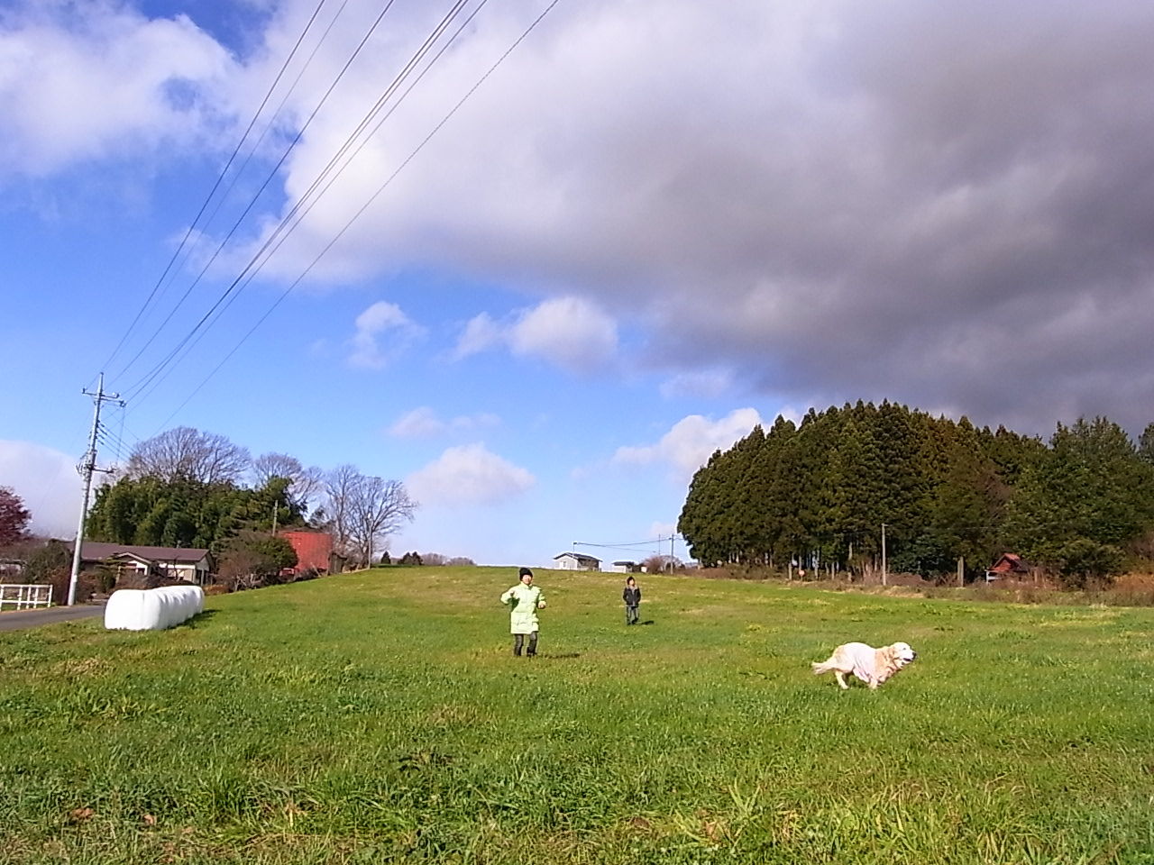 27.大草原を駆け抜ける