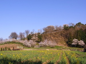 ��������Ȩ���κڤβ�Ȫ