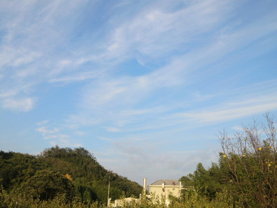 06.龍雲