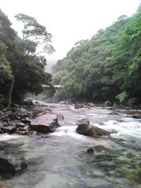 ��������ή��