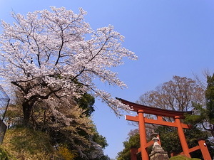 01.貫前神社鳥居