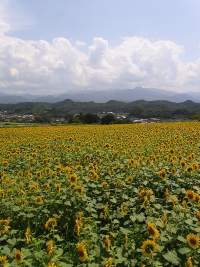 山も雲も綺麗
