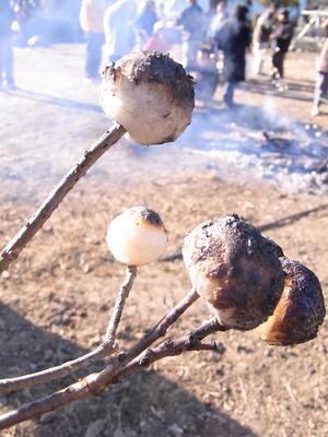 12.焼けました!