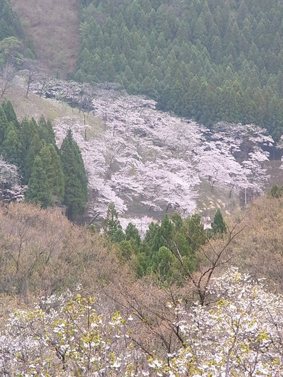 13.妙義20150420
