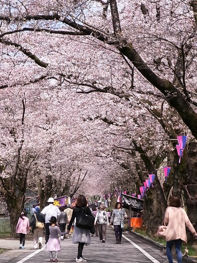 07.八分咲き