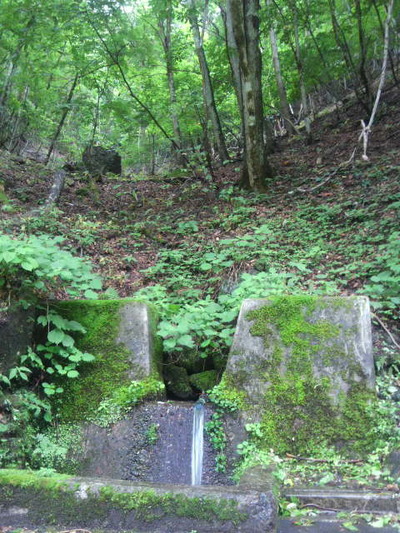 04.原生林の中の清水