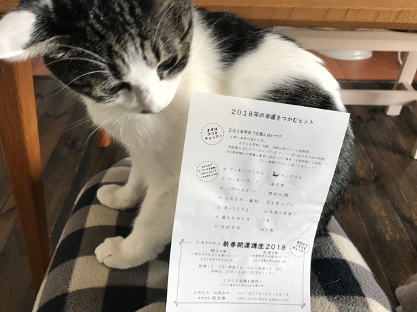 ちらし