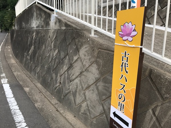 案内板