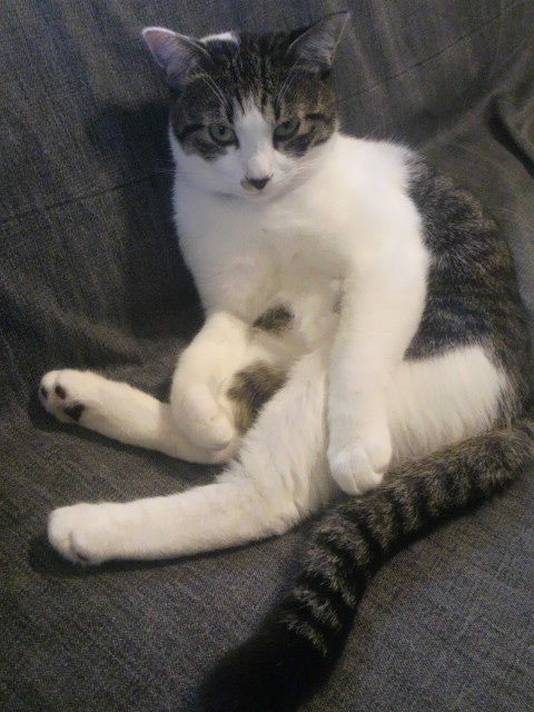 �֥�å��󥰤�����