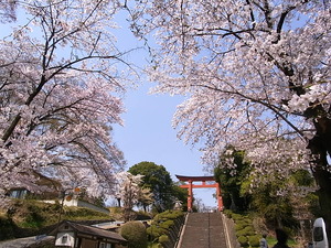 03.参道から見上げる鳥居