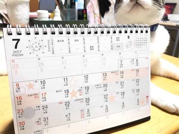 2017年7月