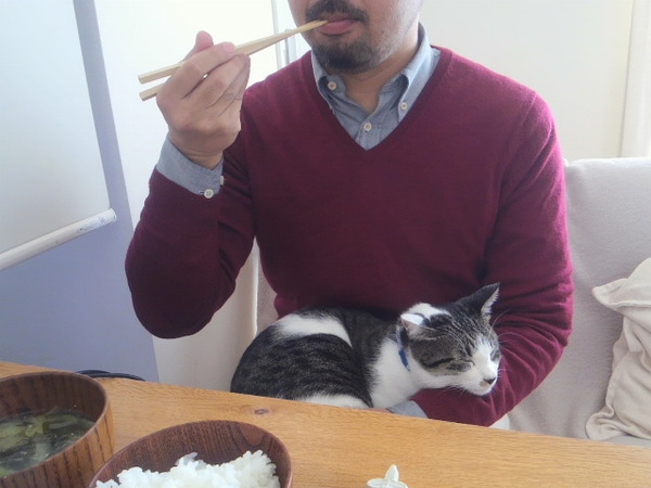 和定食習慣