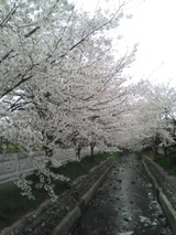 ba7d17a6.jpg