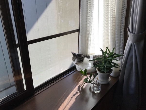新しい居場所