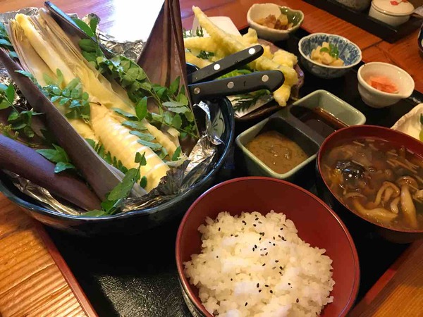 15.たけのこ