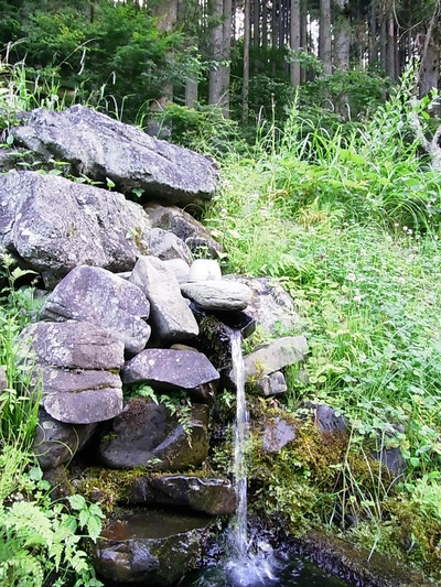 10.八溝山の水
