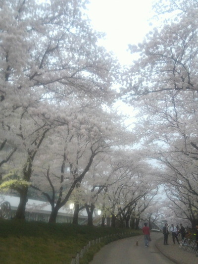 01.桐生市役所20150401