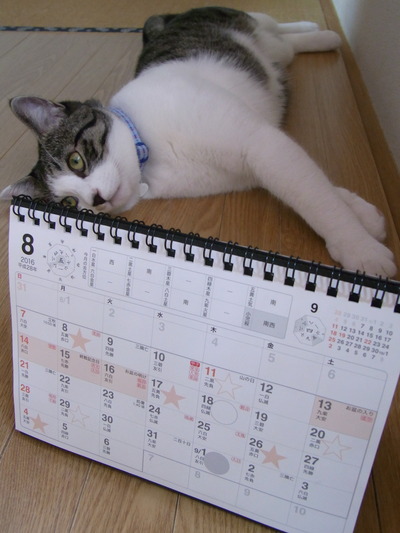 2016年8月