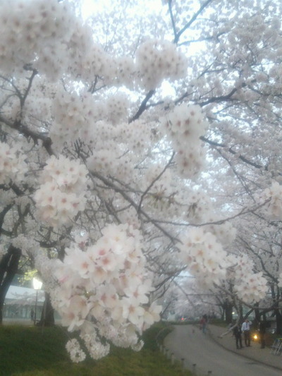 02.桐生市役所20150401