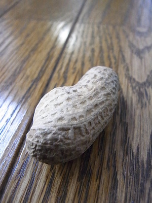 £°£¹¡¥ÈþÌ£¤·¤¯Äº¤¤Þ¤·¤¿