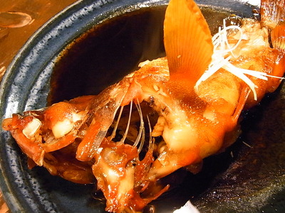 £²£´¡¥¥¢¥«¥Ï¥¿¤Î¼ÑÉÕ¤±