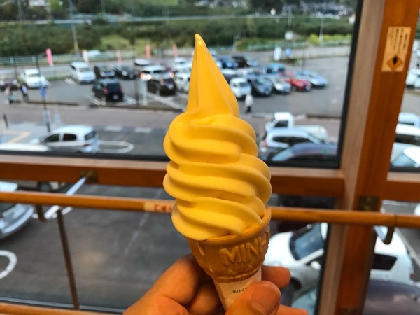 ミニです