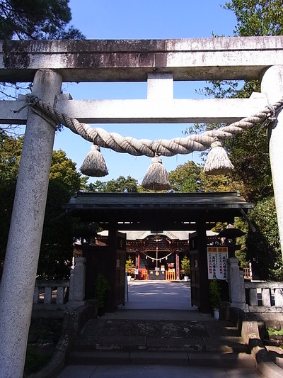 09.先に進むとこの鳥居