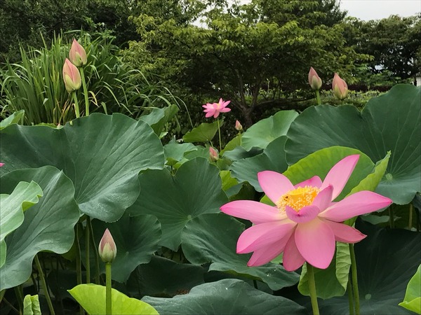 まだまだこれから