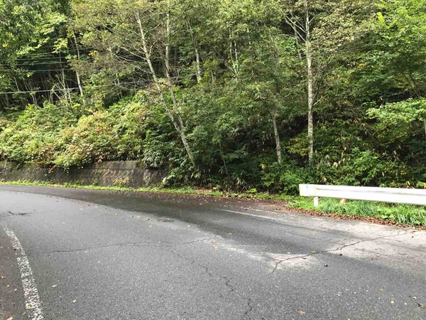 04.信濃方面から右側の林道