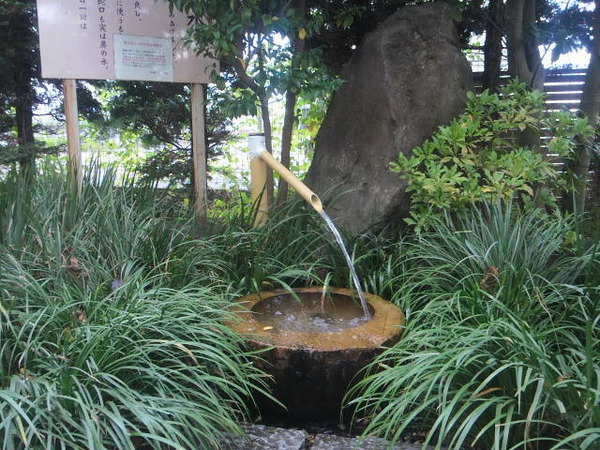 01.房の水