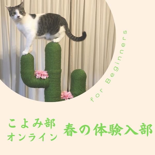 春の体験入部