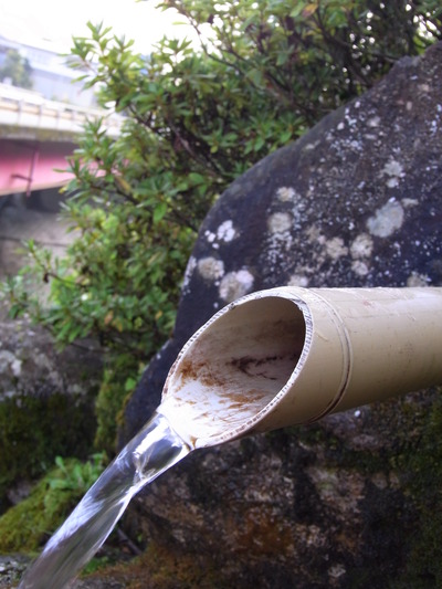 03.水量はほどほど